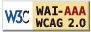 Explanation of WCAG 2.0 Level Triple-A Conformance